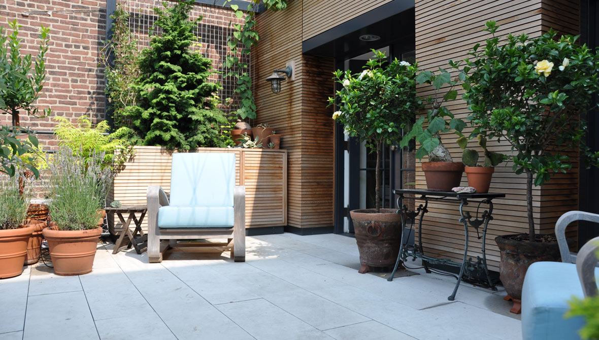 terrace with plants